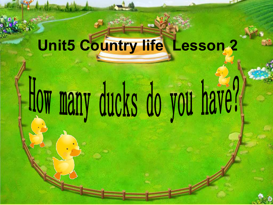 鲁科版小学英语五年级下册Unit-5《Lesson-2-How-many-ducks-do-you-have》课件.ppt_第1页