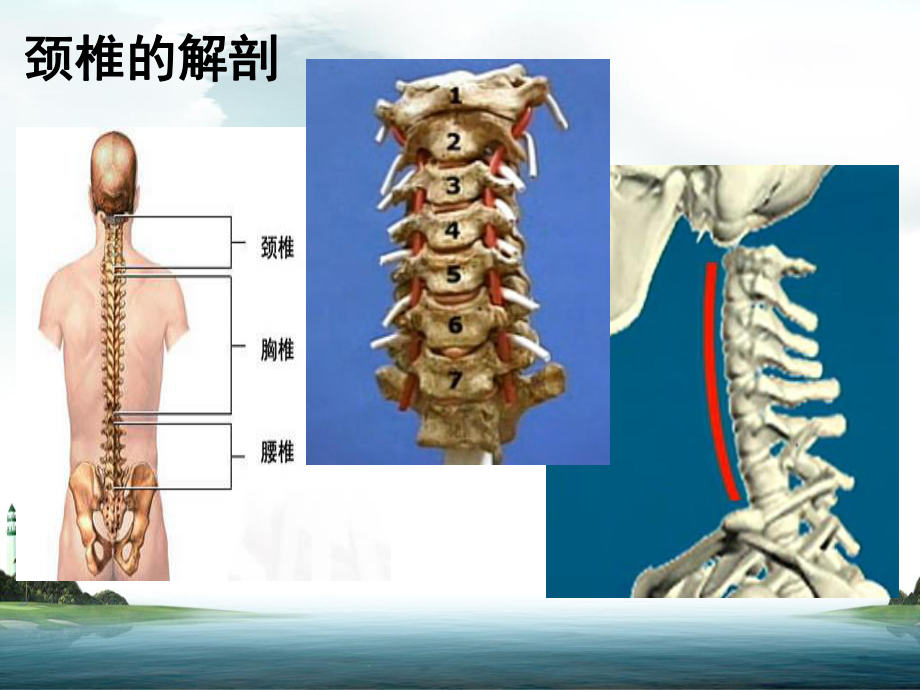 颈椎损伤护理汇总课件.ppt_第3页