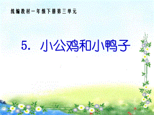 部编版新人教版一年级语文下册课件：5-小公鸡和小鸭子(公开课课件).ppt