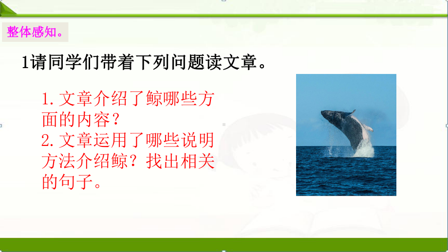 部编语文五年级上册：习作例文：《鲸》《风向袋的制作》课件.pptx_第3页