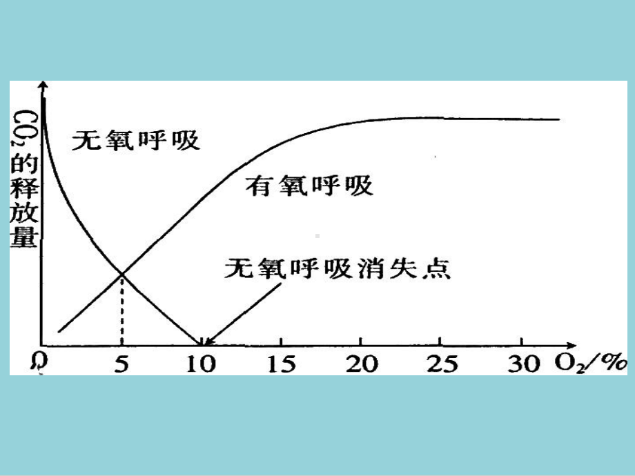 人教版高中生物课件必修一53《ATP的主要来源-细胞呼吸》.ppt_第2页