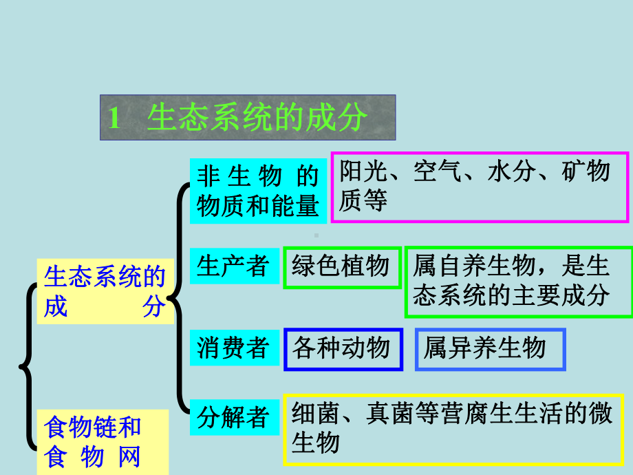 高中生物课件-生态系统的结构.ppt_第2页