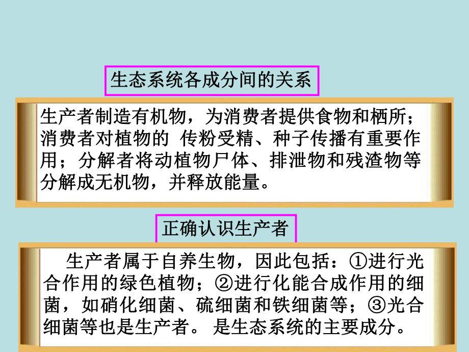 高中生物课件-生态系统的结构.ppt_第3页