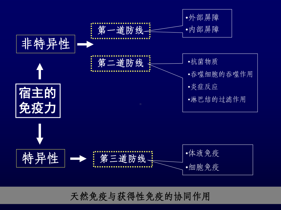 最新7抗细菌感染免疫课件.ppt_第2页