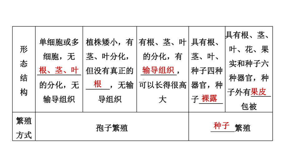 第三单元-生物圈中的绿色植物课件.ppt_第3页