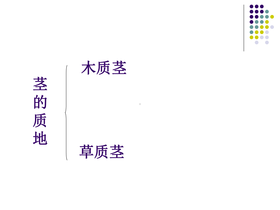 首师大小学科学四上《7各种各样的茎》课件.ppt_第3页