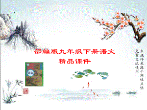 部编版语文九年级下册课件名著导读《儒林外史》讽刺作品阅读.ppt