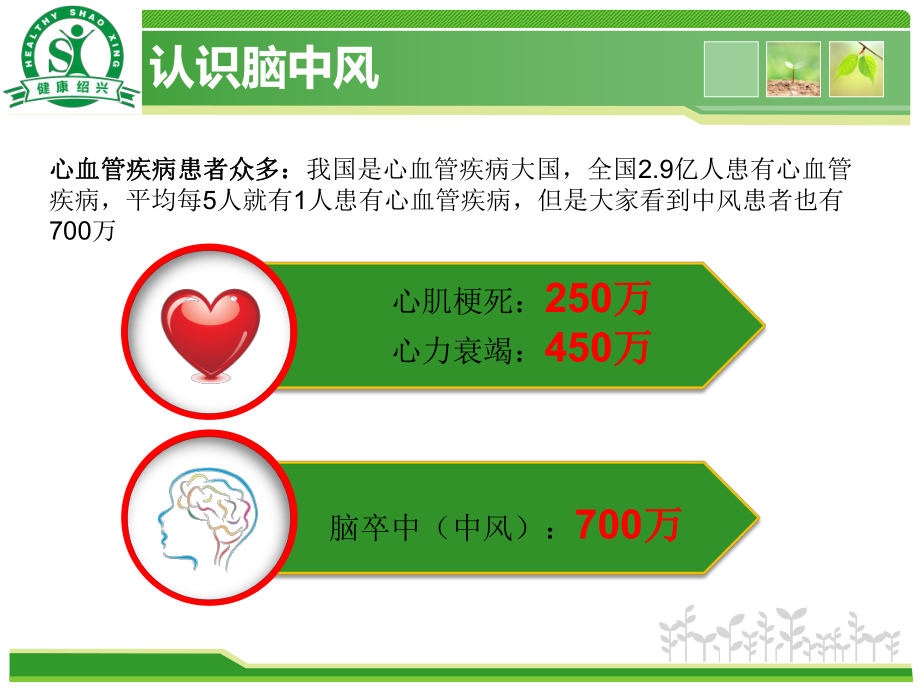 脑中风的预防与管理课件.ppt_第2页