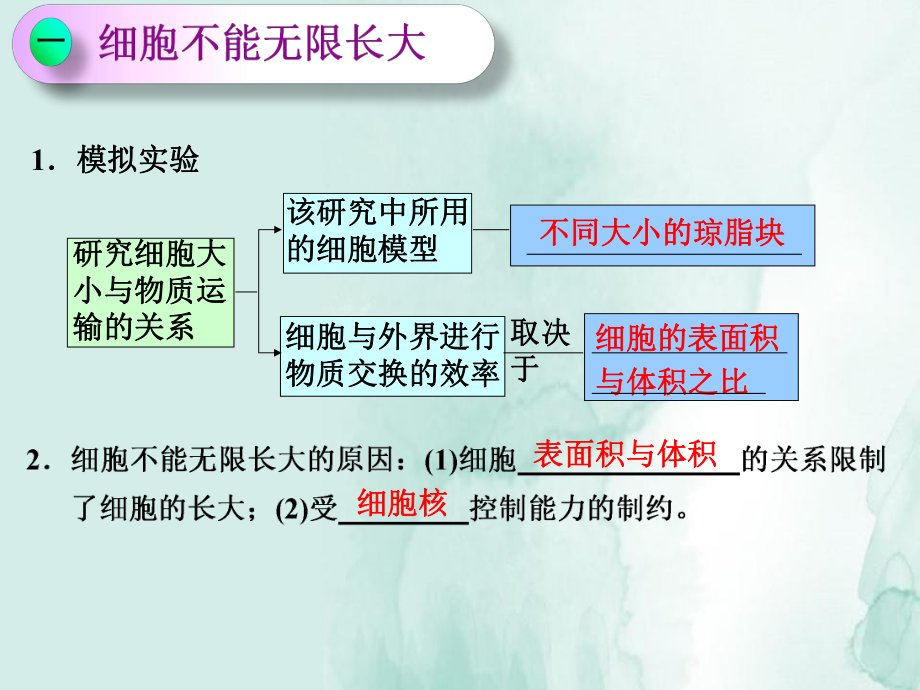 高三生物一轮复习课件1：减数分裂与有丝分裂的比较及应用.pptx_第2页