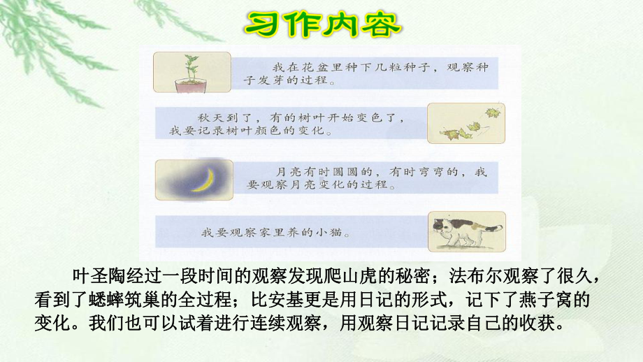 部编版四年级语文上册习作：写观察日记(2套)课件.pptx_第3页