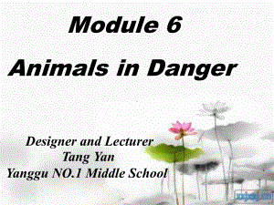 高中英语外研版必修5Module6AnimalsinDanger课件.ppt