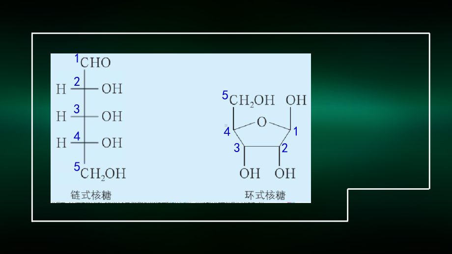 高二（化学(鲁科版)）醛和酮-糖类和核酸3-课件.pptx_第3页