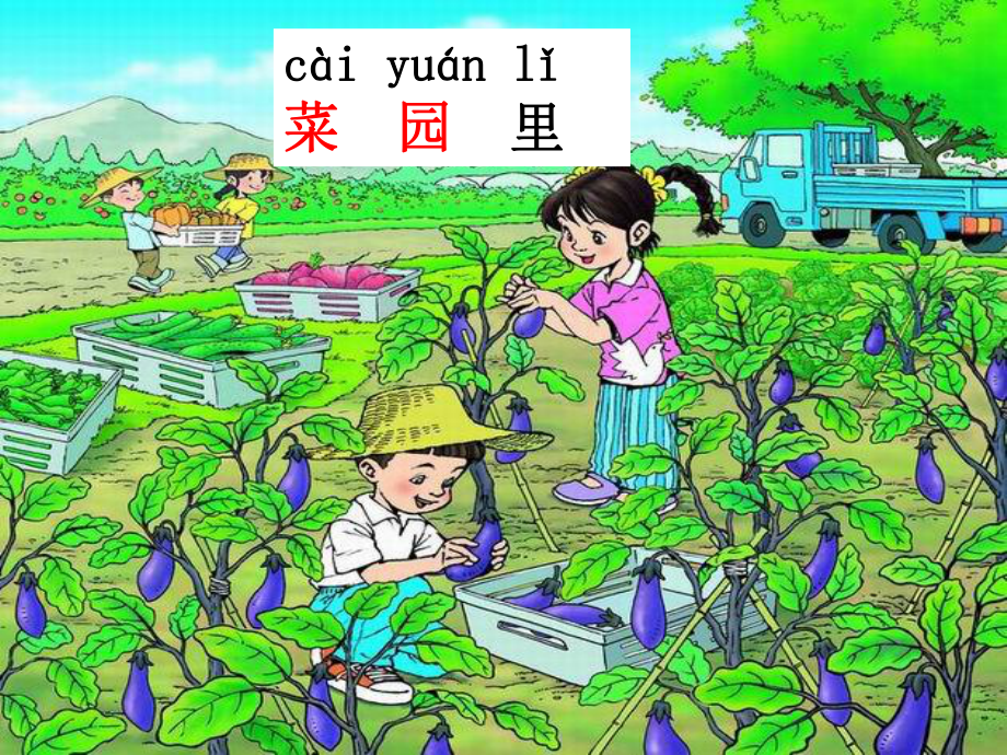 人教版小学语文一年级上册《菜园里》电子课件.ppt_第1页