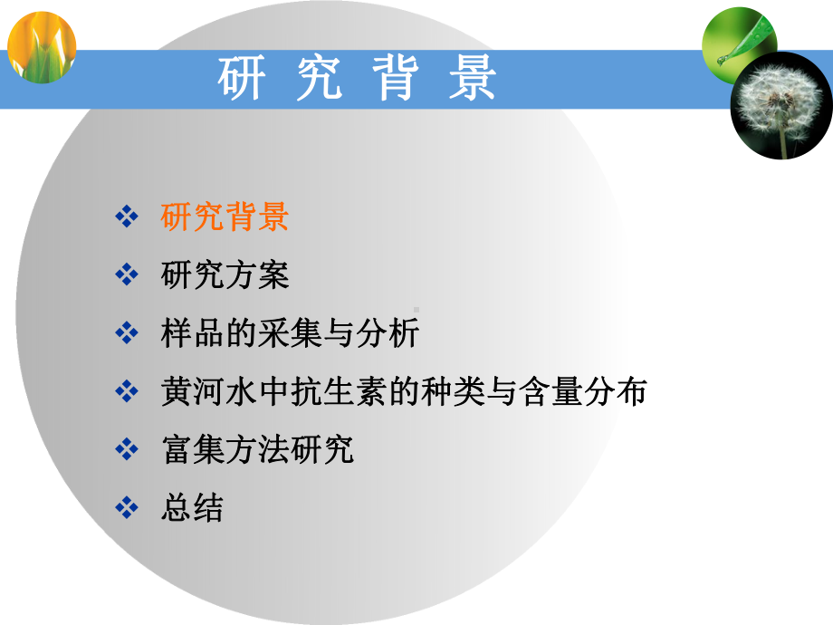 黄河水中抗生素的存在及其环境意义课件.pptx_第2页