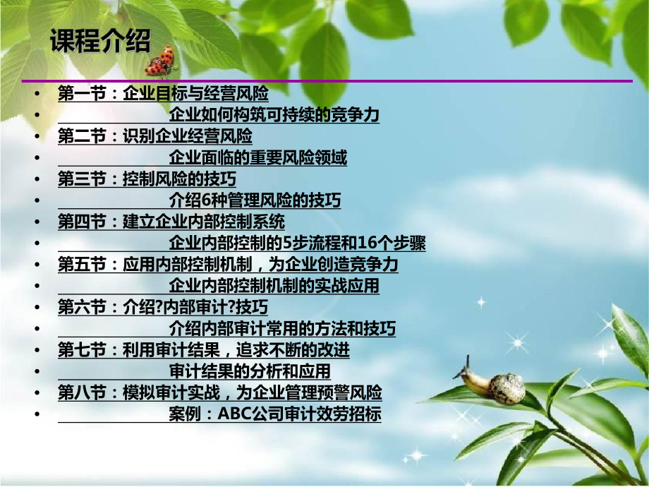 风险管理和内部审计教学课件.ppt_第2页