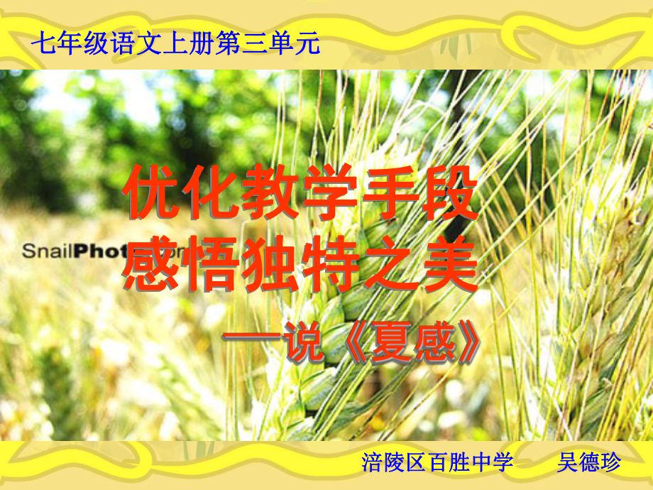 夏感说课稿.ppt_第1页