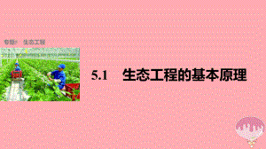 高中生物专题5生态工程51生态工程的基本原理课件新人教版选修3.ppt