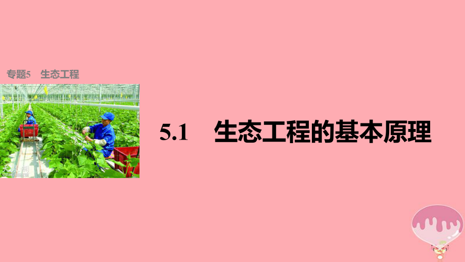 高中生物专题5生态工程51生态工程的基本原理课件新人教版选修3.ppt_第1页