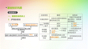 高中生物专题复习-第16讲-伴性遗传和人类遗传病课件.pptx