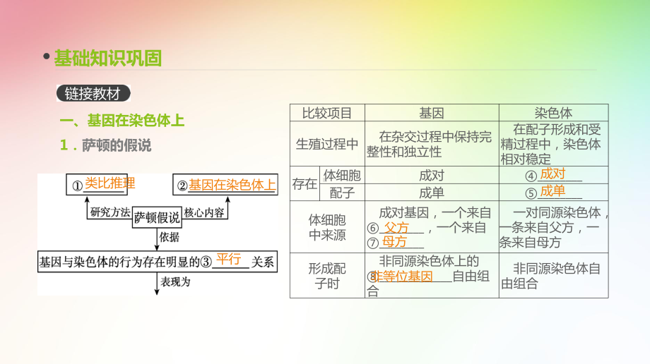 高中生物专题复习-第16讲-伴性遗传和人类遗传病课件.pptx_第1页