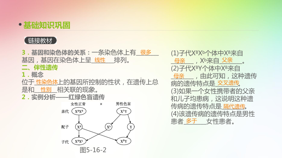 高中生物专题复习-第16讲-伴性遗传和人类遗传病课件.pptx_第3页