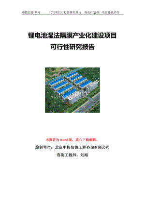 锂电池湿法隔膜产业化建设项目可行性研究报告写作模板立项备案文件.doc