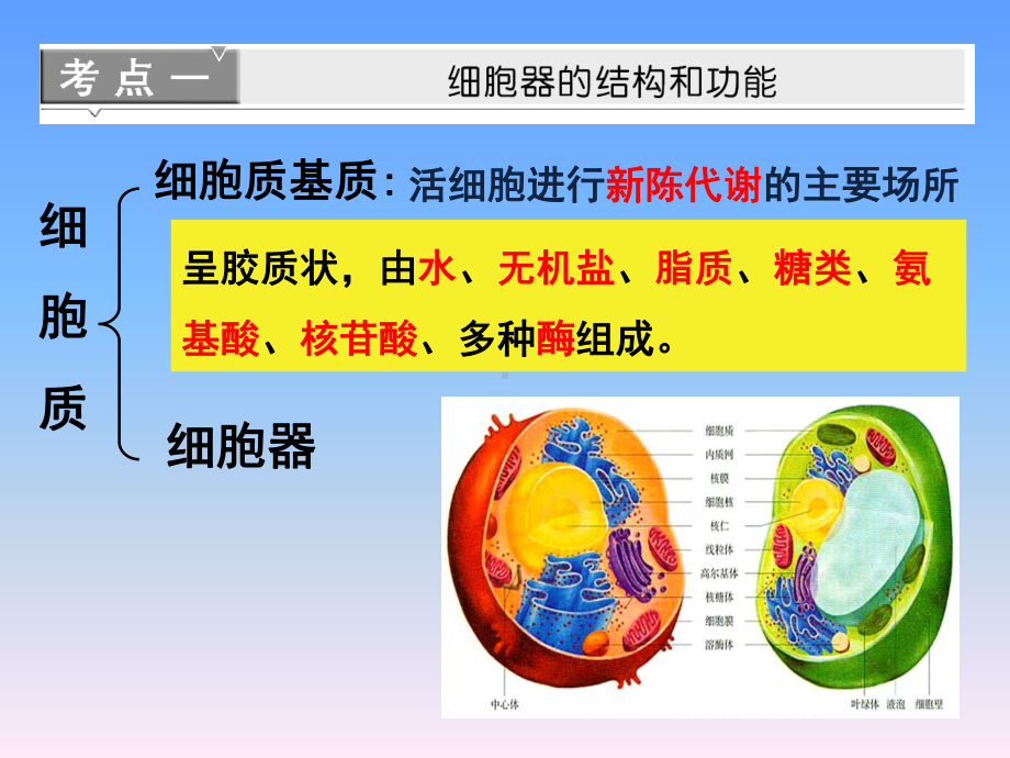 高中生物《细胞器》课件.ppt_第3页