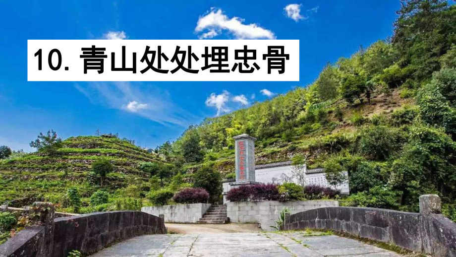 部编版五年级语文下册《青山处处埋忠骨》课件.pptx_第1页