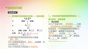 高中生物专题复习-第15讲-基因的自由组合定律课件.pptx