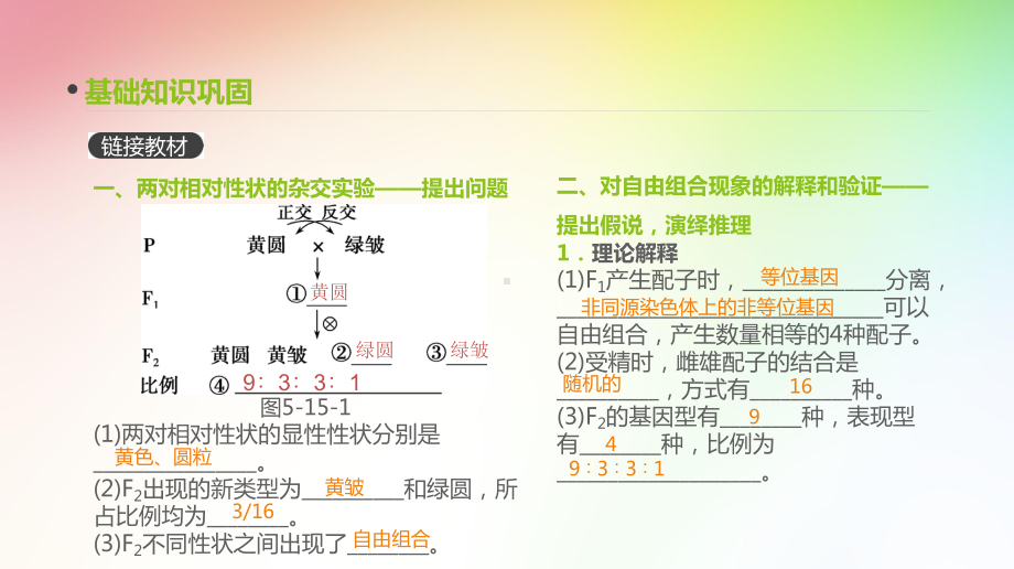 高中生物专题复习-第15讲-基因的自由组合定律课件.pptx_第1页