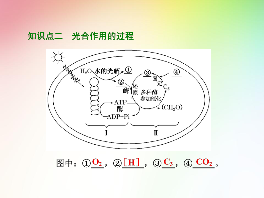 高中生物必修一-光合作用的过程及其影响因素课件.ppt_第3页