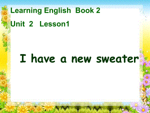 鲁科版小学英语三年级下册Unit-2《Lesson-1-I-have-a-new-sweater》课件.ppt