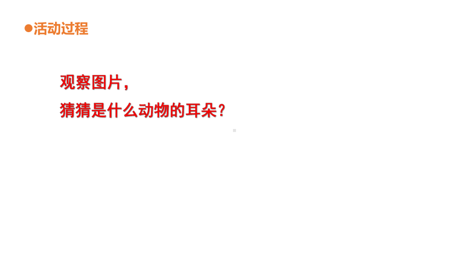 青岛版小学科学二年级下册科学12《动物的耳朵》教学课件.ppt_第2页