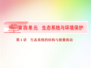 高中生物必修三-生态系统的结构与能量流动课件.ppt