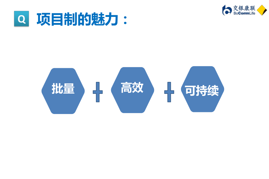 项目组角色详细分工2课件.pptx_第2页