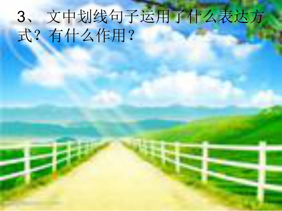 苏教版六年级语文下册《阅读》课件.ppt_第3页