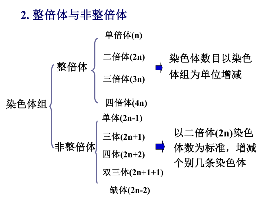 染色体数目变异课件.pptx_第3页