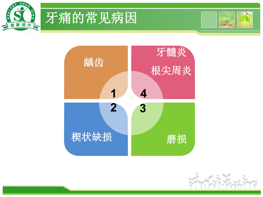 健康口腔、科学防龋课件.ppt_第3页