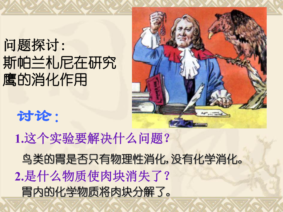 酶为生活添姿彩课件.ppt_第3页