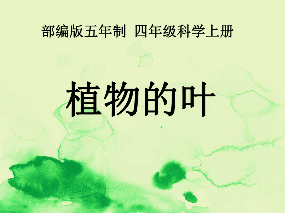 部编版五年制科学四年级上册《植物的叶》课件之一.ppt_第1页