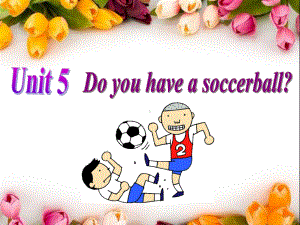 最新(人教版)七年级英语上册Unit5-Do-you-have-a-soccer-ball-Section-A-3a-3c公开课课件.ppt