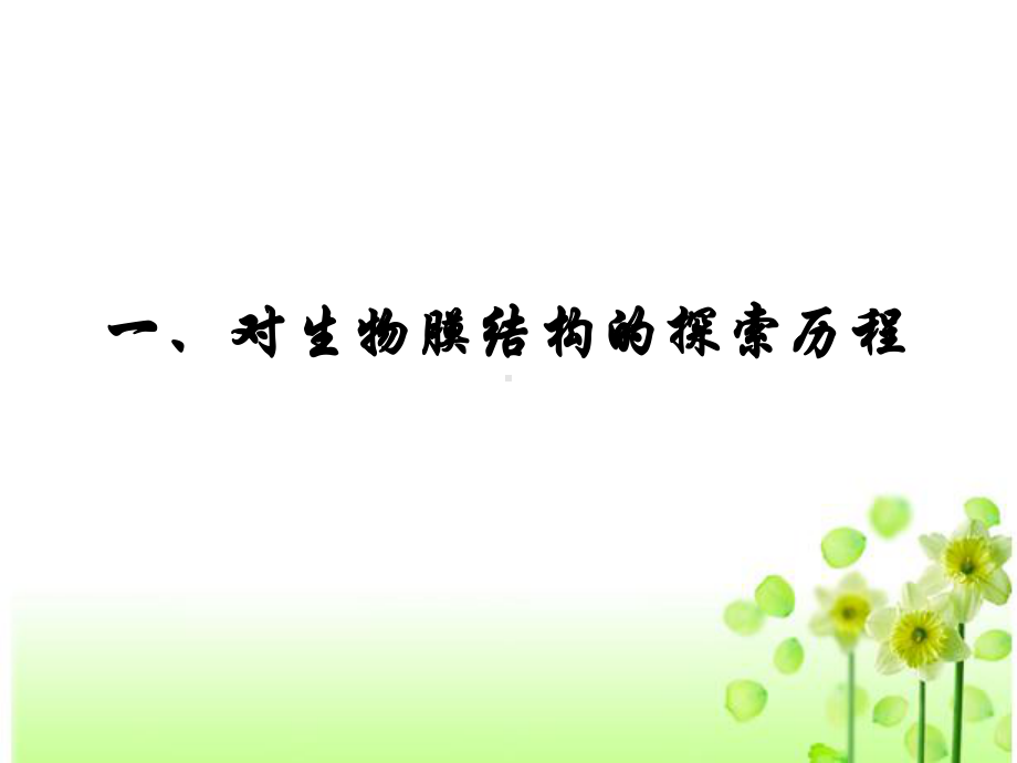 细胞膜的流动镶嵌模型(最新)课件.ppt_第3页