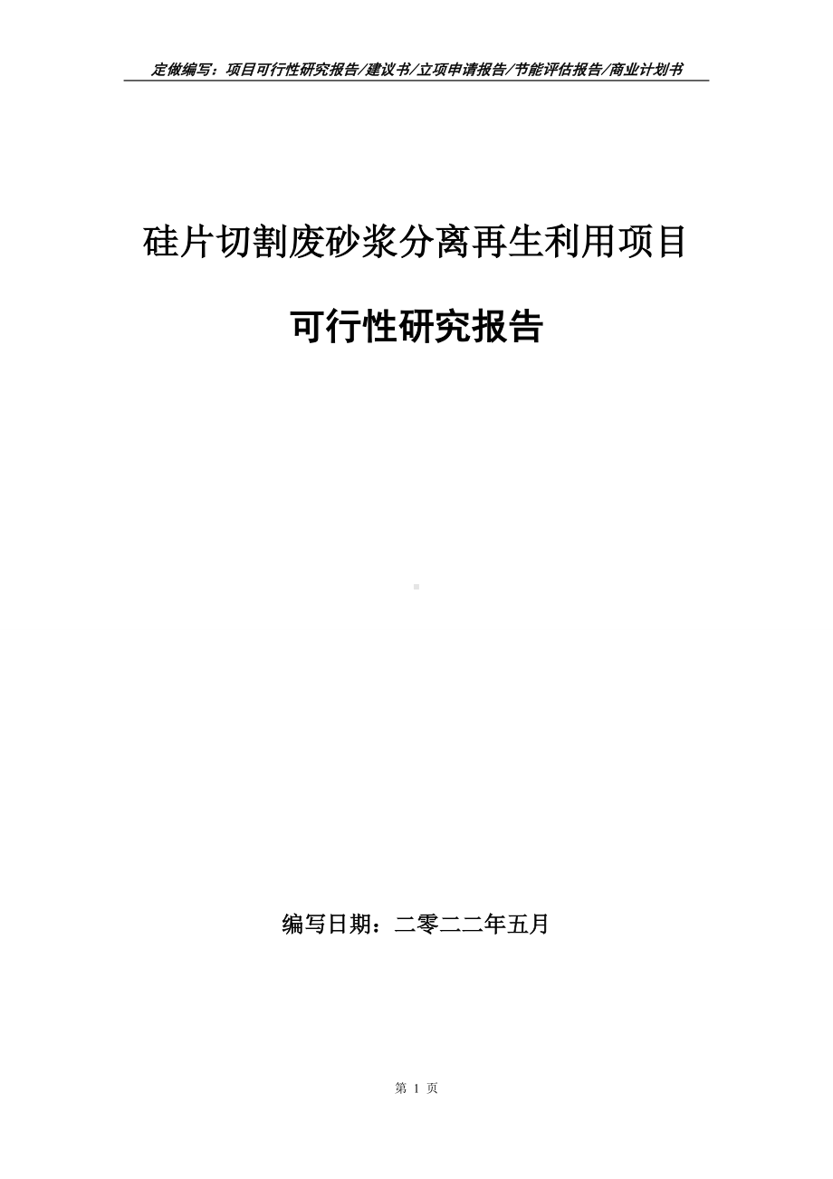 硅片切割废砂浆分离再生利用项目可行性报告（写作模板）.doc_第1页