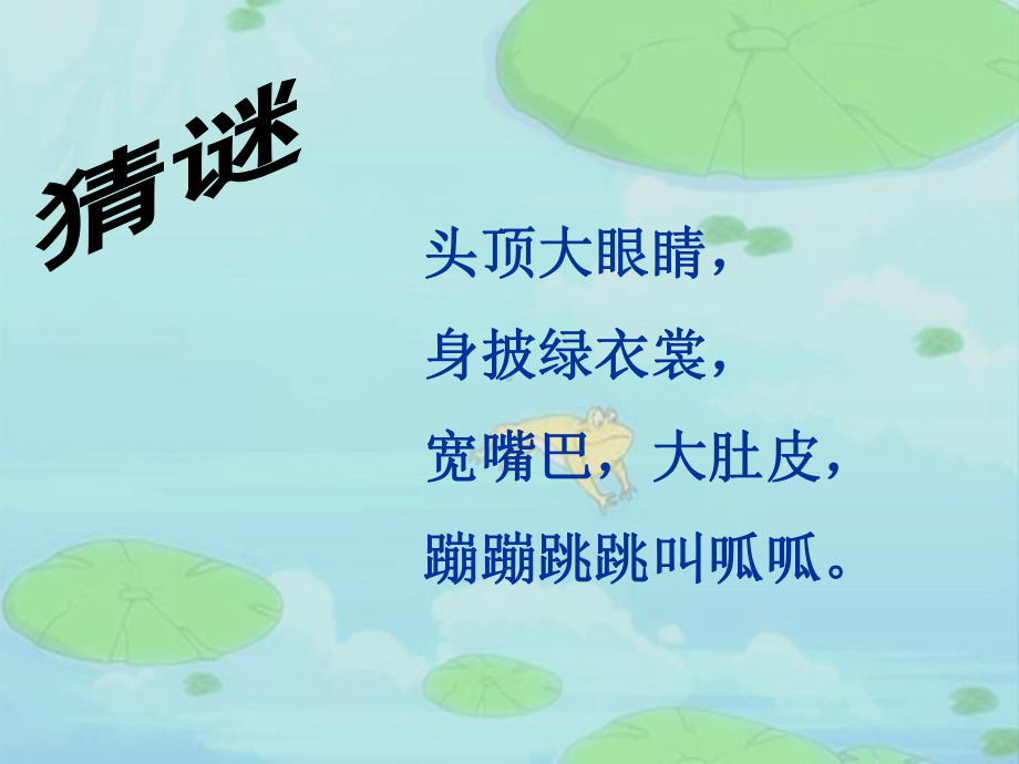 音乐课件-数蛤蟆.ppt_第1页