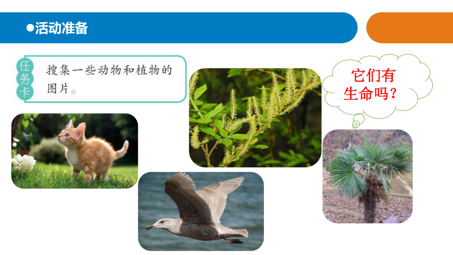 青岛版科学(六制)小学四年级下册17《生物与非生物》教学课件.ppt_第2页