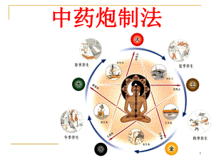 中药炮制的方法参考教学课件.ppt