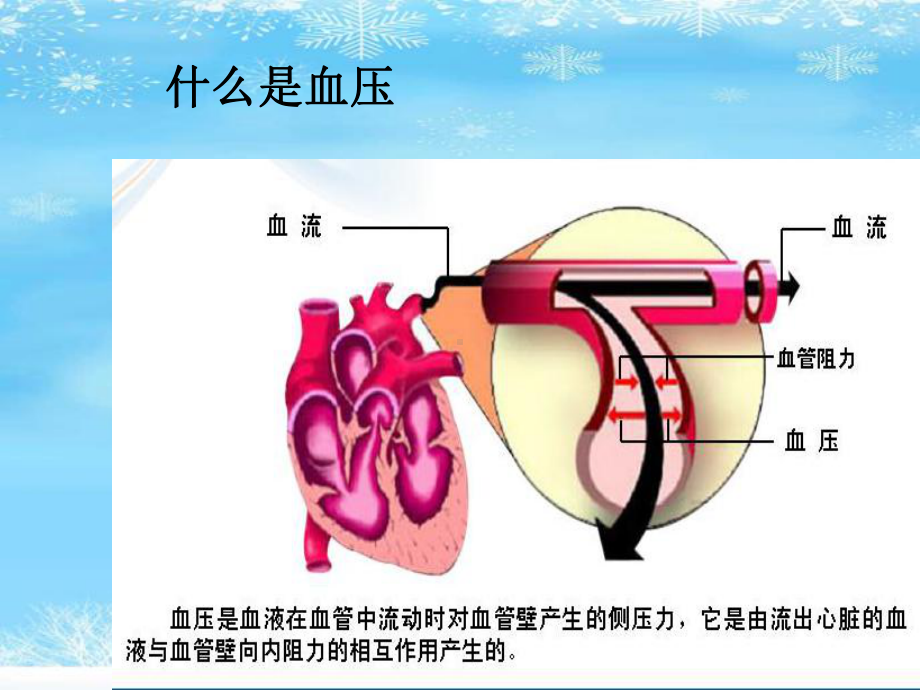 高血压防治及合理用药2021完整版课件.ppt_第3页