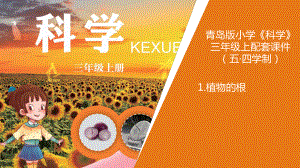 青岛版小学科学(五制)三年级上册1《植物的根》教学课件.ppt