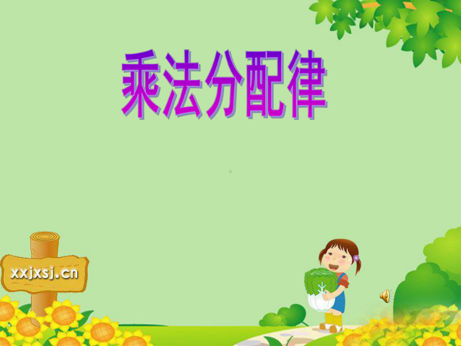 乘法分配1.ppt_第1页