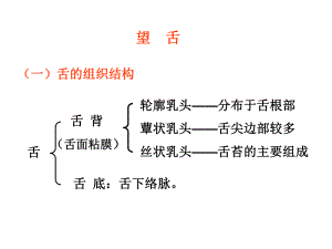 望舌 医药.ppt